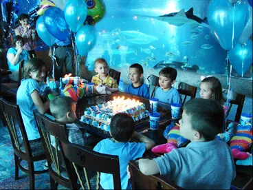 Birthday parties at our oceanarium