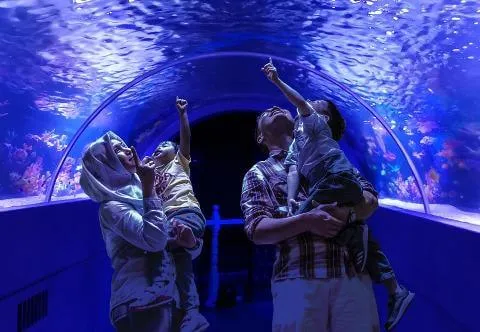 Family in oceanarium